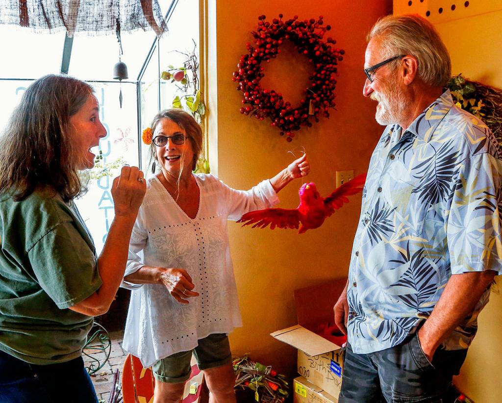 Longtime customer Sherry Ord (left) enjoys a laugh with owners Bob and Paula Adrian, who will close the doors at Flowers by Adrian for good Friday after 65 years in the floral and gift business. Friends are welcome to stop by the shop at 2101 Colby between 2 and 5 p.m. Friday for what the Adrians are calling &ldquo;beers not tears.&rdquo; (Dan Bates / The Herald)