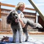 Bonnie Cavell, of Camano Island, lifts her standard poodle, Oliver&rsquo;s leg up during an outdoor dog yoga session put on by yoga and pilates studio, Movement Arts, as a fundraiser for the Camano Animal Shelter on Saturday, July 22. (Ian Terry / The Herald)