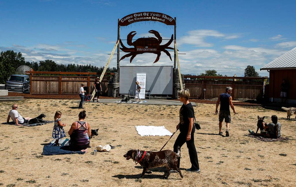 Dogs and people gather for an outdoor dog yoga session put on by yoga and pilates studio, Movement Arts, as a fundraiser for the Camano Animal Shelter on Saturday, July 22. (Ian Terry / The Herald)