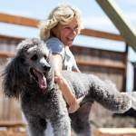 A Camano Animal Shelter fundraiser was a big ‘doga’ party