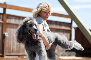 A Camano Animal Shelter fundraiser was a big ‘doga’ party