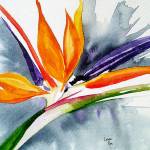 Lonni Rae Flowers exhibits recent work, including &ldquo;Bird of Paradise,&rdquo; through August at Gallery North in Edmonds.