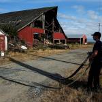 North County fireman John Estep prepares a hose for a practice burn of an old barn on the Ovenell property in Stanwood on Friday, Aug. 18. (Ian Terry / The Herald)