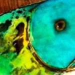 Poster artist for Fresh Paint festival paints with beeswax