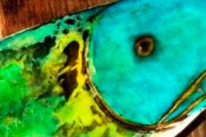 Poster artist for Fresh Paint festival paints with beeswax