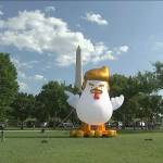 This image from video shows a inflatable chicken on the Ellipse, just south of the White House in Washington, D,C., on Wednesday. (AP Photo)