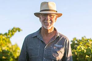 Contrary to movie ‘Sideways,’ merlot is straight-up delicious