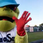 The AquaSox mascot, Webbly. (Sue Misao / The Herald)