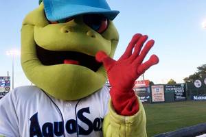 Video: What you’ll see at an AquaSox game — besides baseball