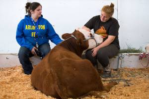 Memories in the making as Evergreen fair opens (video)