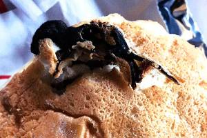 Woman: Dead rodent was baked into my Chick-fil-A sandwich