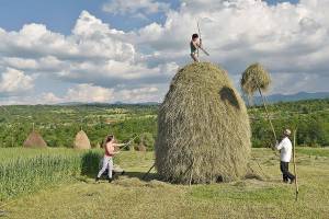 Romania’s countryside: The land that time forgot