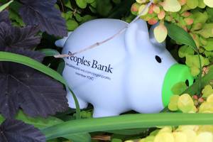 Piggy banks hidden in Snohomish County parks to promote savings