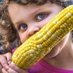Upcoming events for families in Snohomish County and nearby