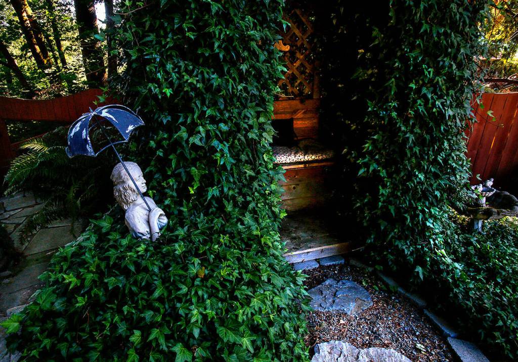 A concrete girl holding an umbrella stands elbow-deep in ivy that covers a cozy sitting place at the fenced backside of Jim and Susan&rsquo;s garden. (Dan Bates / The Herald)