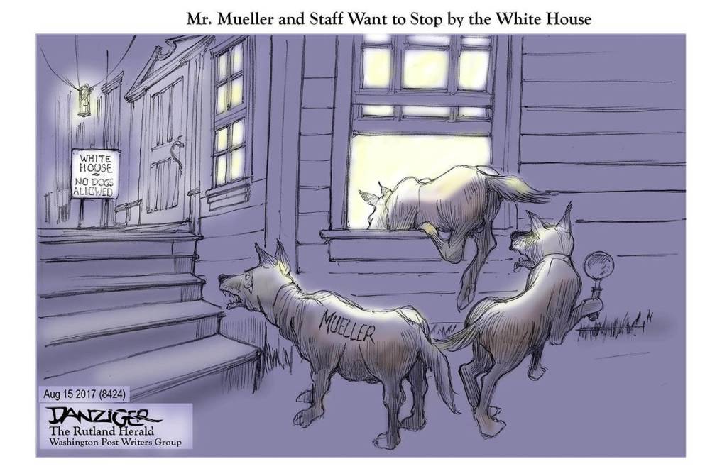 Editorial cartoons for Sunday, Aug. 20