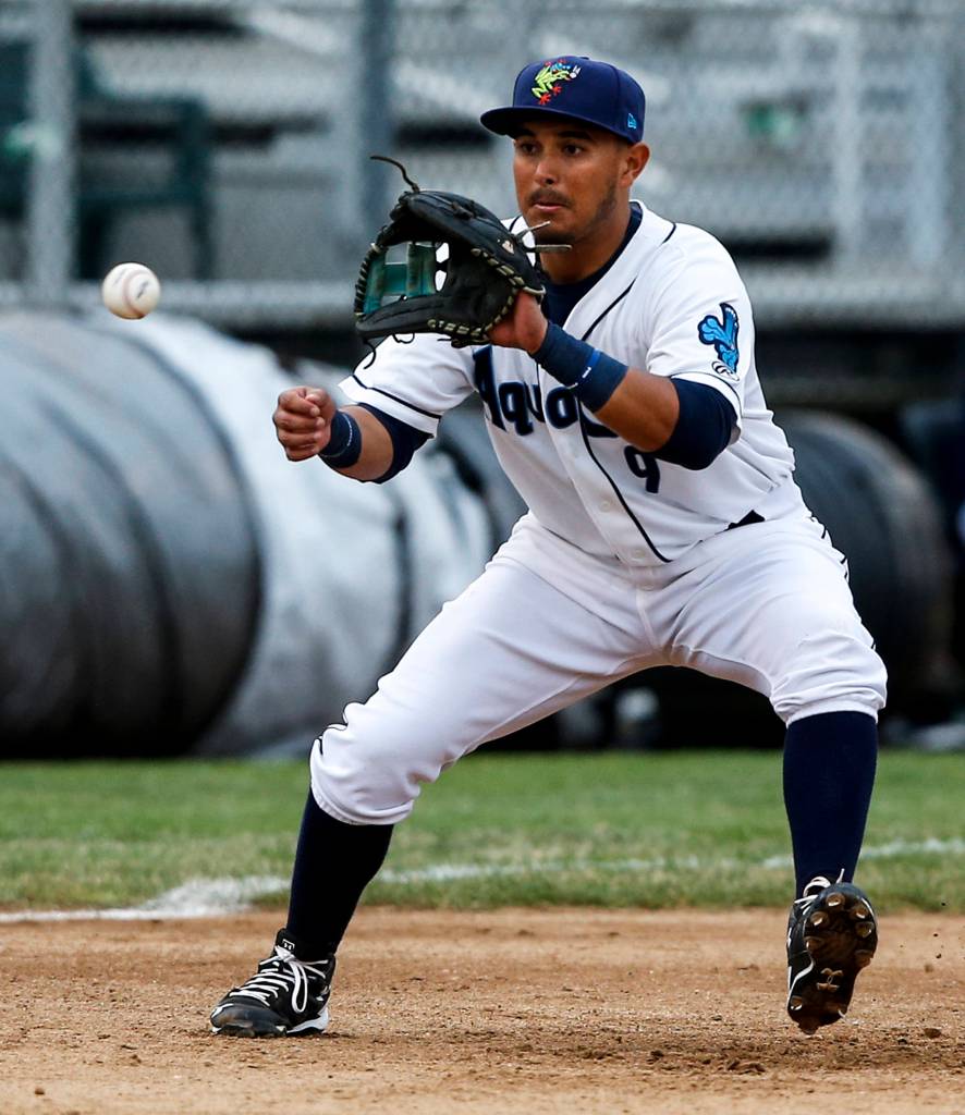 Ian Terry / The Herald Everett Aquasox third baseman Eugene Helder fields a ball during the Everett Cup exhibition game against the Merchants at Everett Memorial Stadium on Tuesday, June 13. Photo taken on 06132017