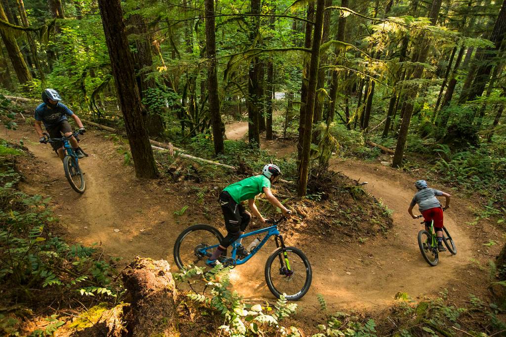 Riders (from left) Cadin Yeckley, Oliver Parish and Skye Schillhammer descend through a mossy forest on Darrington&rsquo;s new North Mountain trail network. Through a partnership between the Department of Natural Resources and the Evergreen Mountain Bike Alliance, Darrington&rsquo;s North Mountain trails are being developed. (Ian Terry / The Herald)