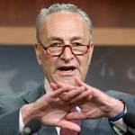 Senate Minority Leader Chuck Schumer of New York speaks to reporters on Capitol Hill in Washington on July 28. (AP Photo/J. Scott Applewhite)