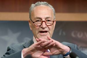 Schumer’s pitch: Kill the president’s voting commission