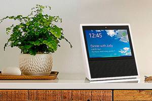 Shopping by voice on Amazon or Google device could cost you