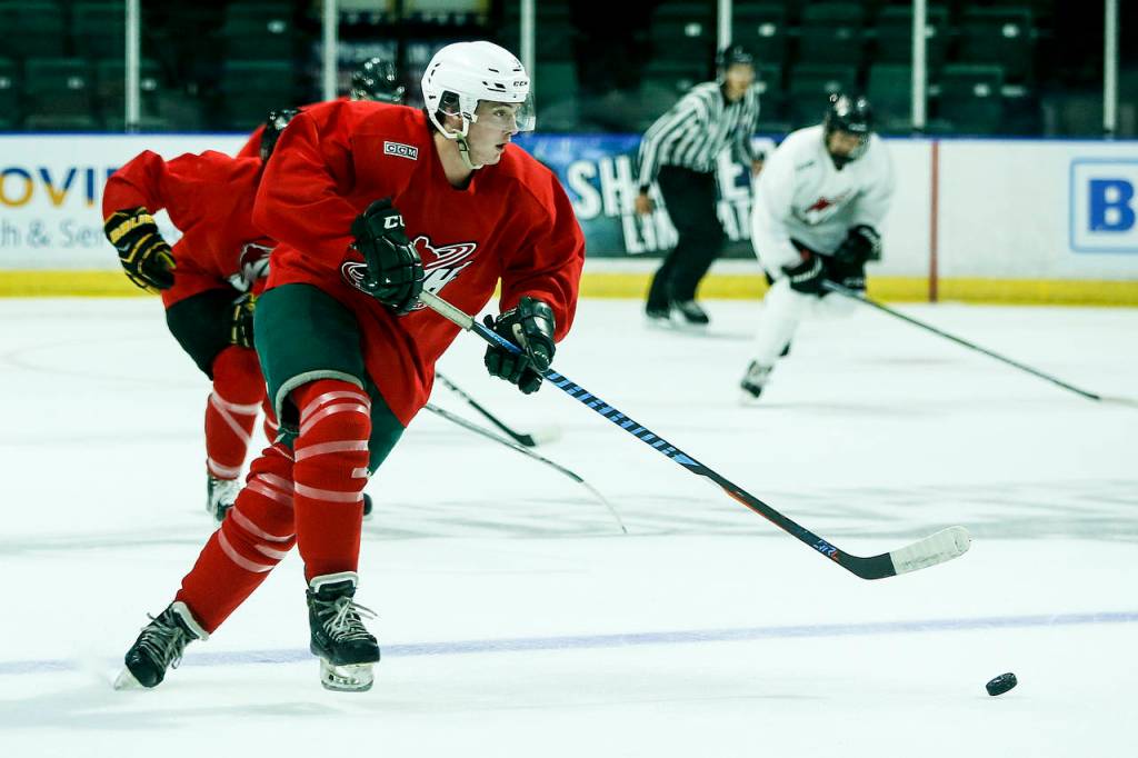 Silvertips prospect Mark Liwiski brings the puck up ice during the second day of Everett&rsquo;s training camp at Xfinity Arena on Aug. 25, 2017. (Ian Terry / The Herald)