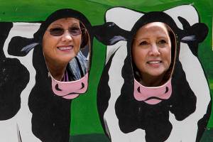 Herald photos of the week