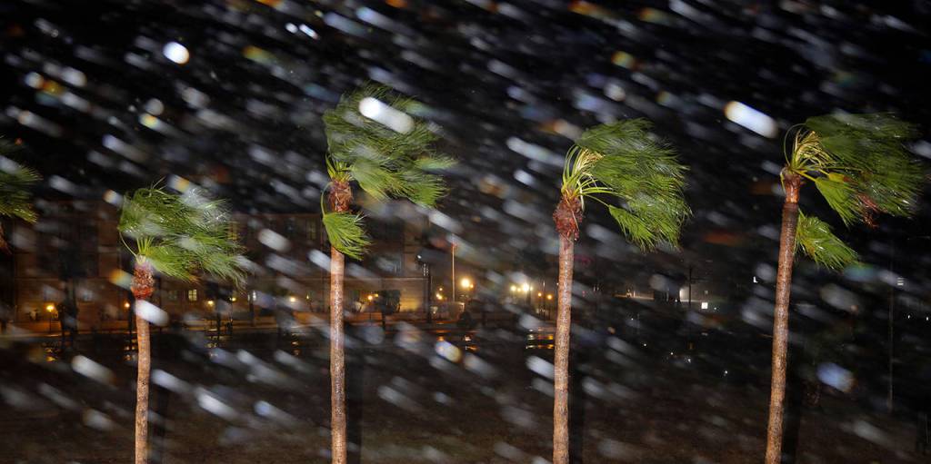 Rain is blown past palm trees as Hurricane Harvey makes landfall Friday in Corpus Christi, Texas. (AP Photo/Eric Gay)
