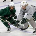 Nicholas Porchetta, left, and Orrin Centazzo vie for the puck during the Green/Grey game Sunday afternoon at Xfinity Arena in Everett on August 27, 2017. (Kevin Clark / The Herald)