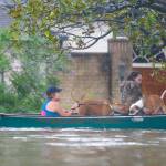A family evacuates their home in Houston on Sunday. Rescuers answered hundreds of calls for help Sunday as floodwaters from the remnants of Hurricane Harvey rose high enough to begin filling second-story homes, and authorities urged stranded families to seek refuge on their rooftops. (Mark Mulligan / Houston Chronicle via AP)