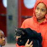 Houston convention center gives refuge to Harvey’s survivors