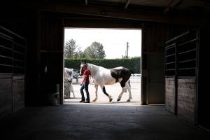 Today’s your last chance to catch the Evergreen State Fair
