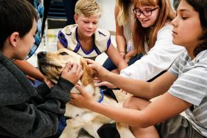 Bruce is super popular at Lake Stevens school (video)