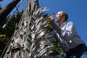 How did 300 feathers get stuck in that old utility pole?