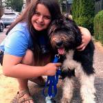 Annalise Brush, an Edmonds 12-year-old, with her new bearded collie mix, &ldquo;Bernie,&rdquo; a Texas dog adopted from PAWS in Lynnwood. (Courtesy of Lori Brush)