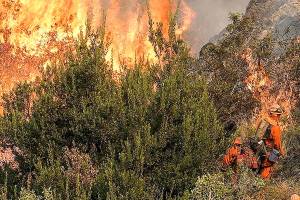 Record wildfire rages near downtown LA; heat bakes the state