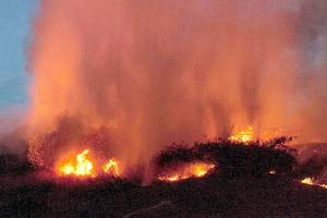 Wildfires surge amid scorching heat across US West