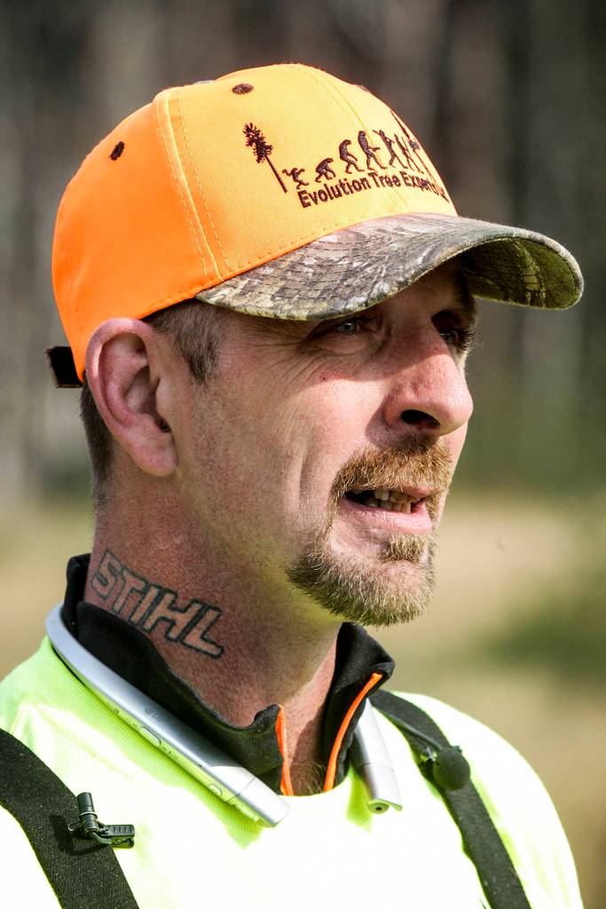 Chad White, of Evolution Tree Experts LLC, volunteered his time and expertise to professionally remove a Sitka spruce on the Oso mudslide site on Saturday, Sept. 16. (Ian Terry / The Herald)