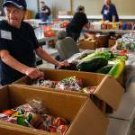 Excited about being able to provide &ldquo;whole bags of apples,&rdquo; volunteer Jodi Nelson watches anxiously as a crowd grows for the start of the VOA&rsquo;s popup food bank, held Tuesday at 805 W. Casino Rd. in Everett. (Dan Bates / The Herald)