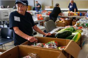 Excited about being able to provide &ldquo;whole bags of apples,&rdquo; volunteer Jodi Nelson watches anxiously as a crowd grows for the start of the VOA&rsquo;s popup food bank, held Tuesday at 805 W. Casino Rd. in Everett. (Dan Bates / The Herald)