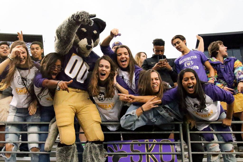 Harry Husky celebrates with fans Saturday night at Husky Stadium in Seattle on September 9, 2017. Washington defeated Montana 63-7. (Kevin Clark / The Herald)