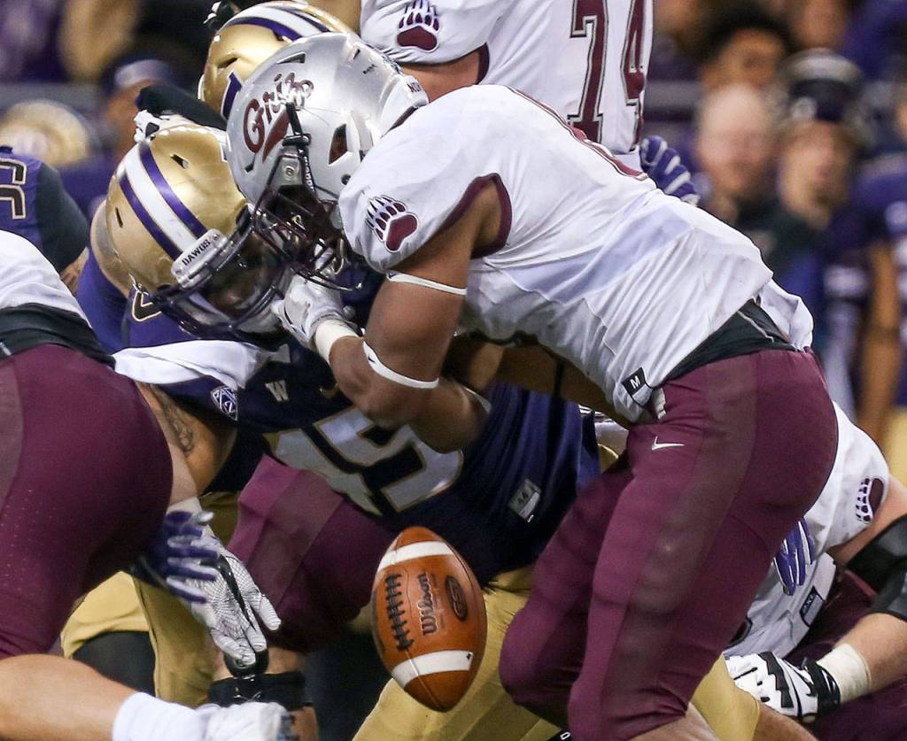 Washington&rsquo;s Jusstis Warren forces a fumble by Montana&rsquo;s Jeremy Calhoun Saturday night at Husky Stadium in Seattle on September 9, 2017. Washington defeated Montana 63-7. (Kevin Clark / The Herald)