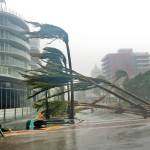 Recently planted palm trees lie strewn across the road as Hurricane Irma passes on Sunday in Miami Beach, Florida. (AP Photo/Wilfredo Lee)