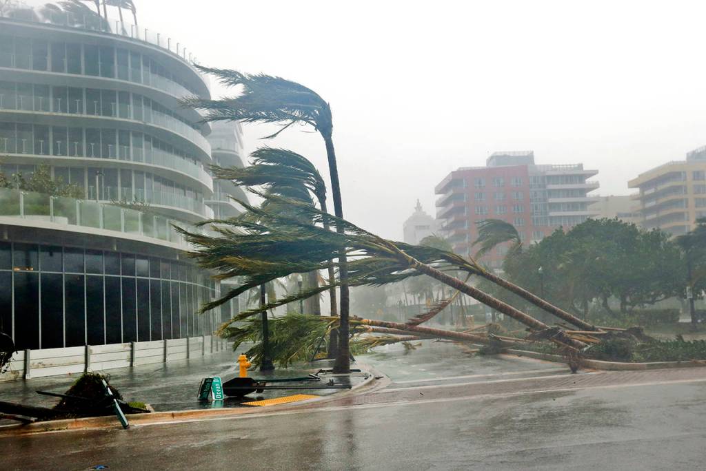 Recently planted palm trees lie strewn across the road as Hurricane Irma passes on Sunday in Miami Beach, Florida. (AP Photo/Wilfredo Lee)