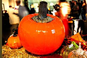 Halloween season begins with glass pumpkin fest at the Schack