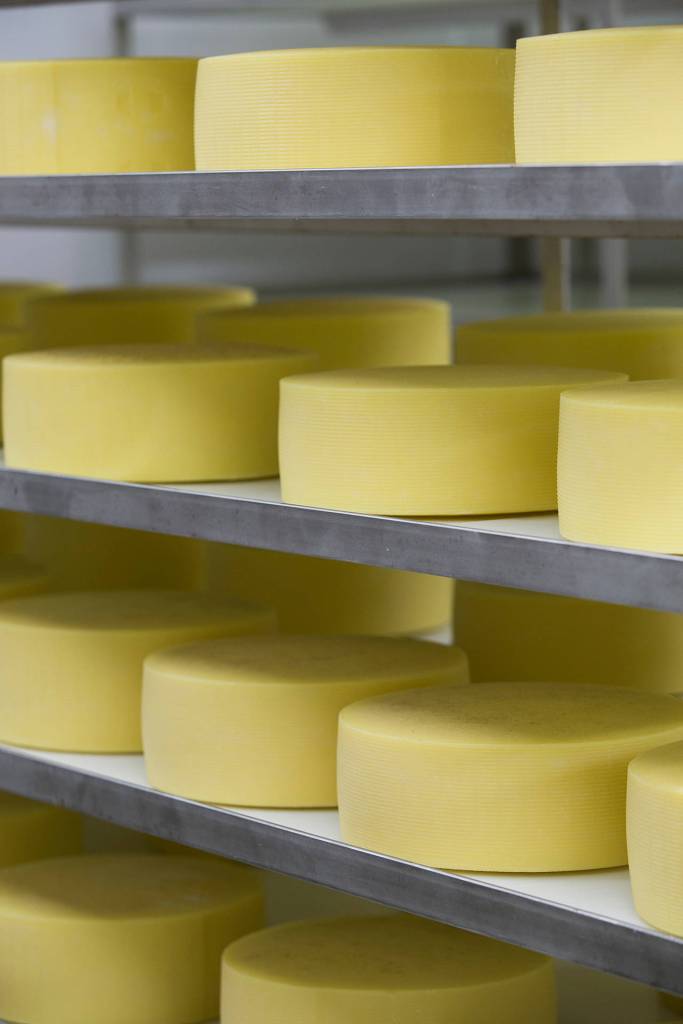 Fontina cheese ages at Ferndale Farmstead on Ferndale. (Andy Bronson | The Herald)