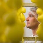 ‘Cheese that was grass 24 hours ago’ wins a farm accolades