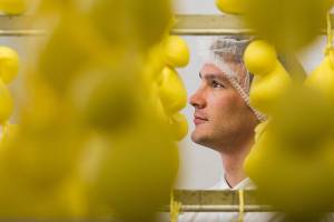 ‘Cheese that was grass 24 hours ago’ wins a farm accolades