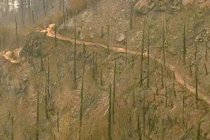 Columbia Gorge trails might be closed for months because of fire