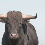 Thinkstock.com